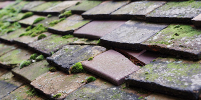 Llanboidy roof repair costs